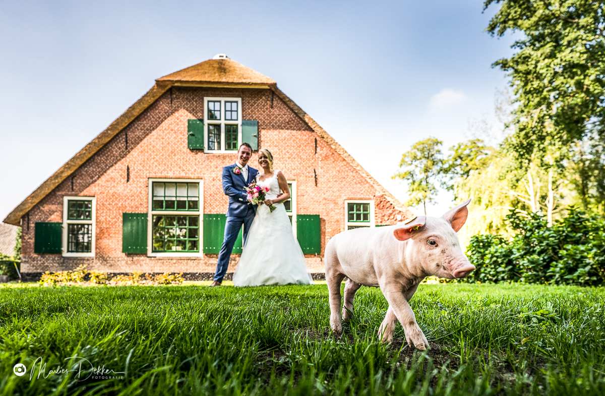 trouwen-op-de-boerderij-trouwfotograaf-woerden
