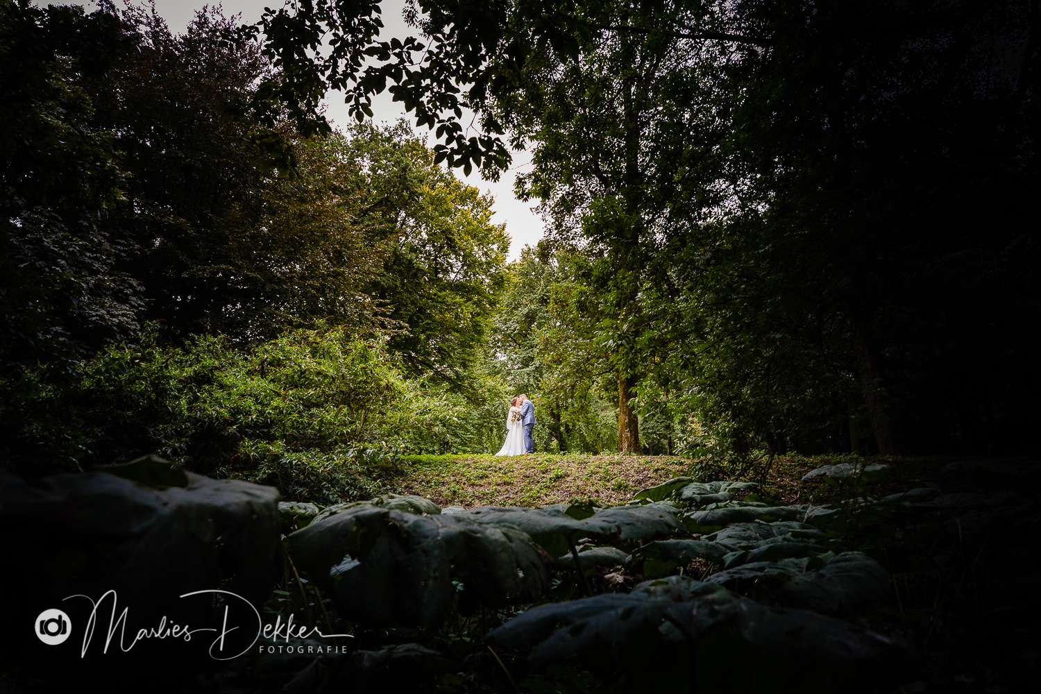 bruidsfotografie rotterdam dudok in het park
