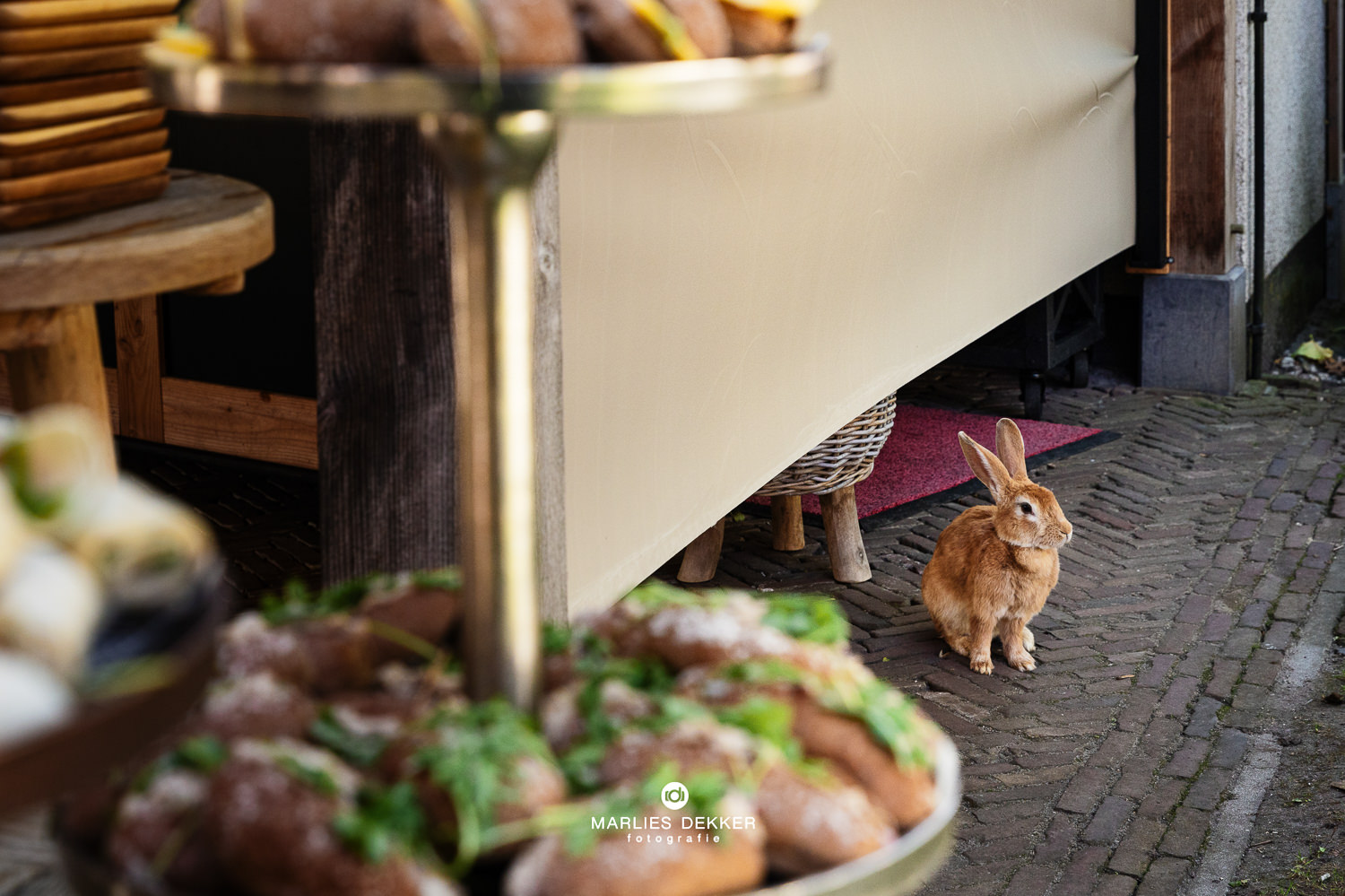 Trouwen bij het Land van Belofte in Moerkapelle bij Rotterdam; het konijn loopt rond