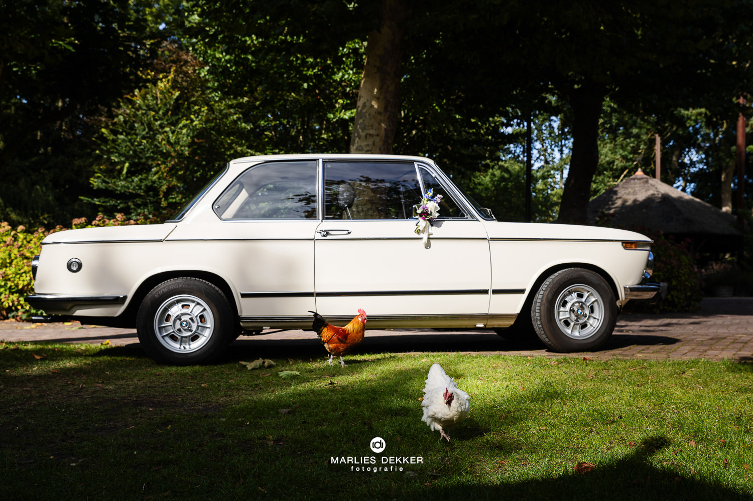 Trouwen bij het Land van Belofte in Moerkapelle bij Rotterdam de trouwauto